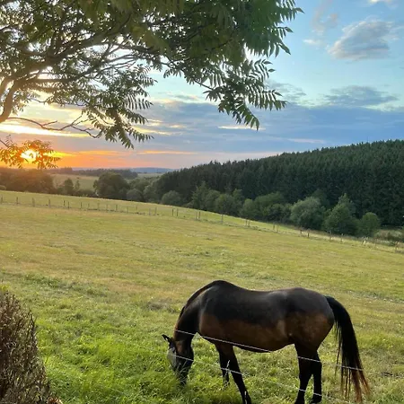 Апартаменты Oase Der Ruhe In Der Eifel *