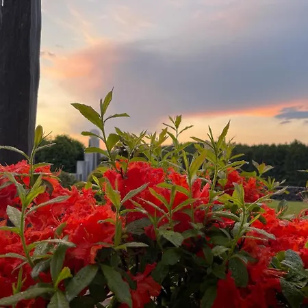 Oase Der Ruhe In Der Eifel 公寓 Roth bei Prum