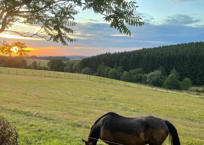 Apartment Oase Der Ruhe In Der Eifel *