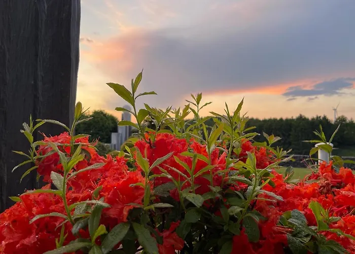 Oase Der Ruhe In Der Eifel Apartment Roth bei Prum